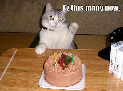 cat-happy-birthday-06.jpg