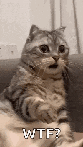  0001.gif