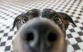 1000022528.webp