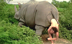 1000023550.gif