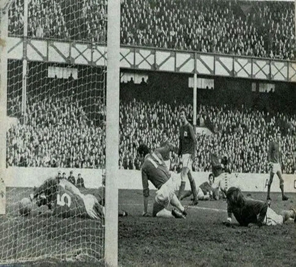 1737155982707.webp