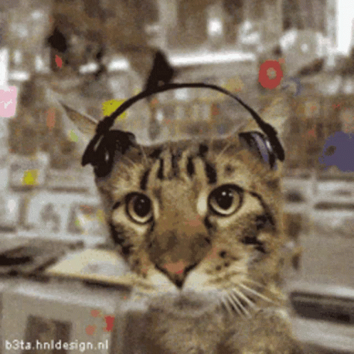 1752256683411.gif
