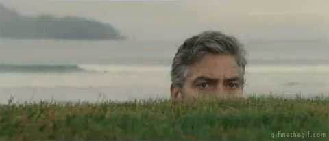 1754217412173.gif