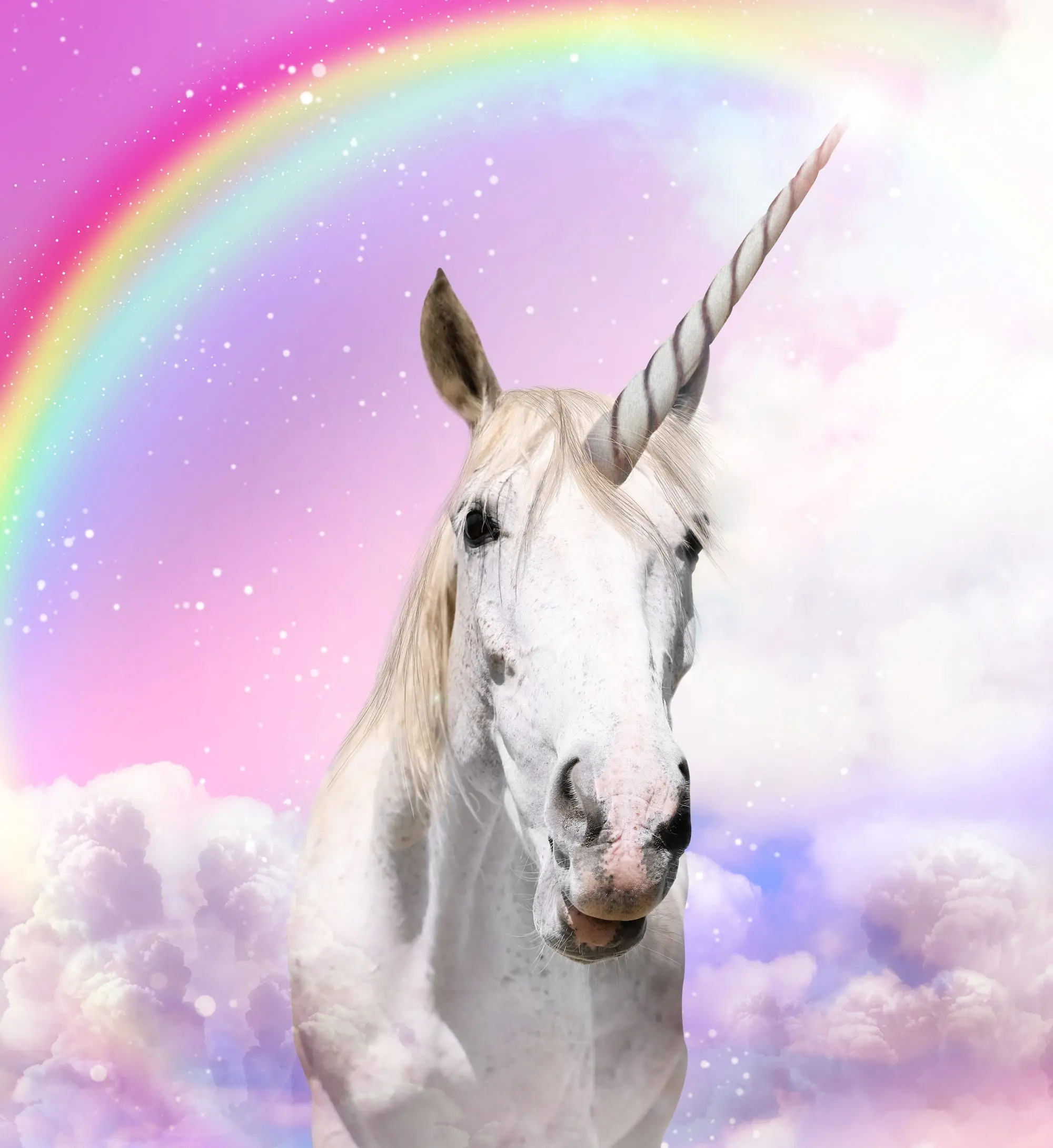 1755012672975.webp