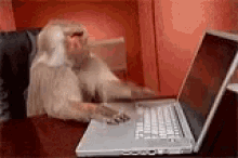 1755092813133.gif