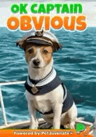 1757778947755.gif