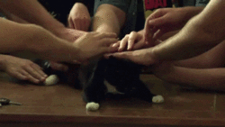 1767898135127.gif
