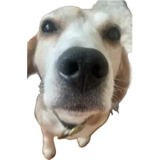 1768006882218.webp