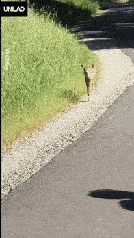1777462396372.gif