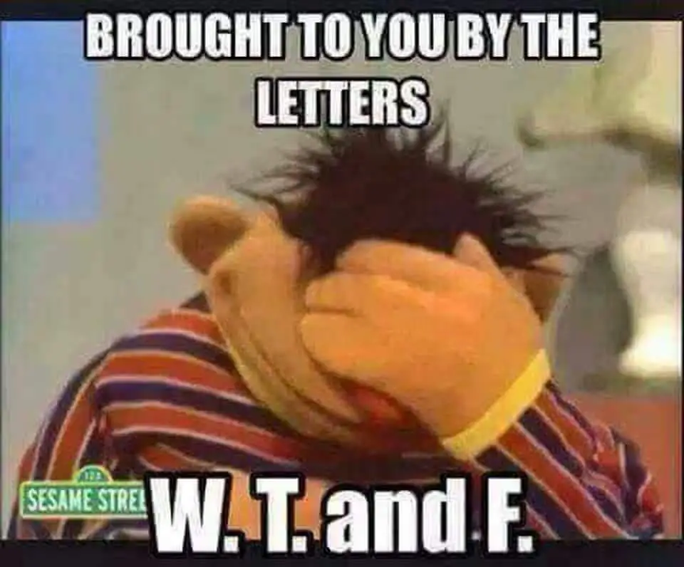 38727998_10156780174114258_8516673183053512704_n.webp