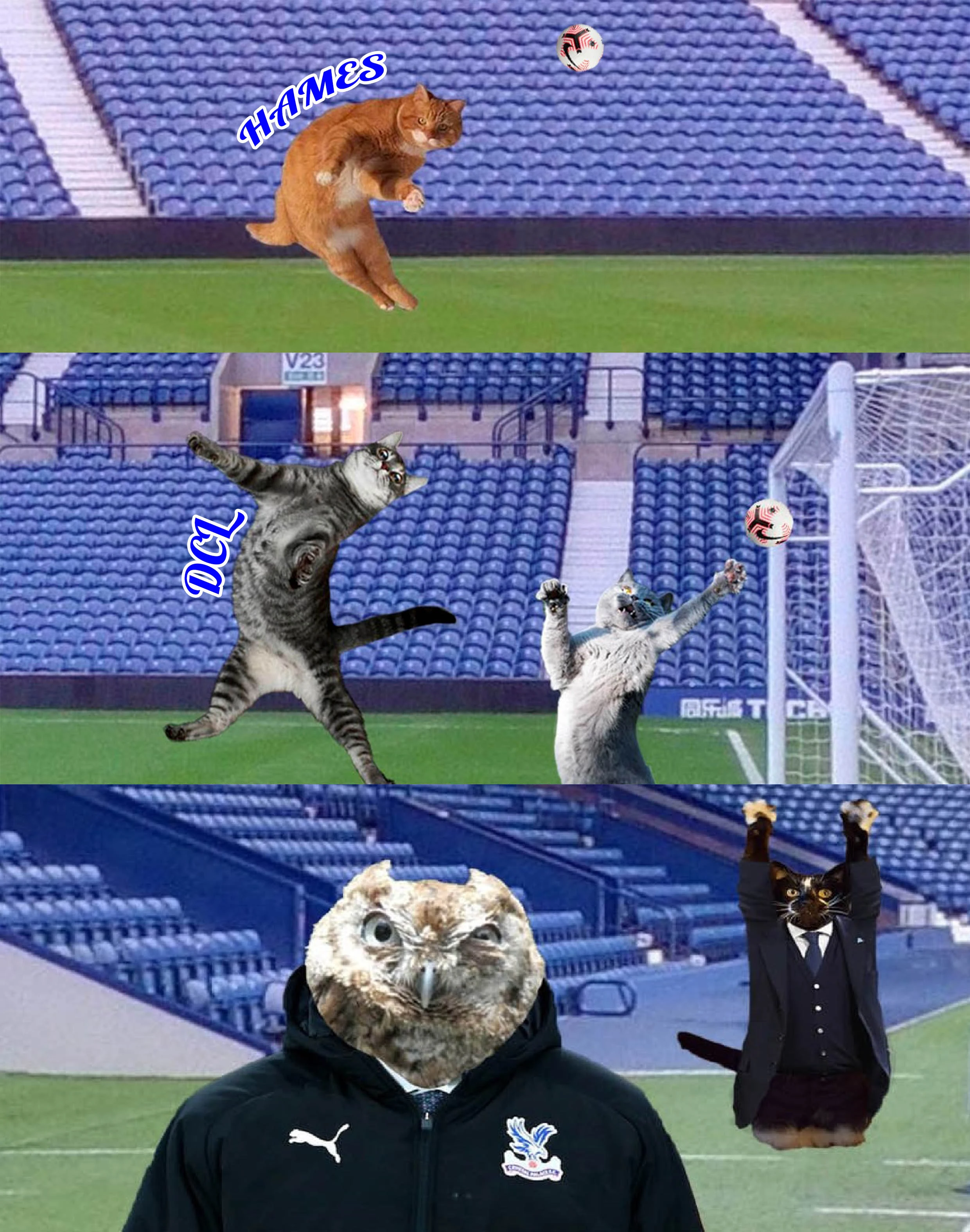 CP — копия.webp