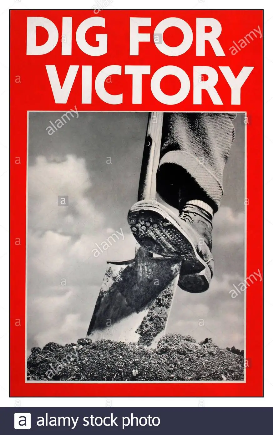 83682