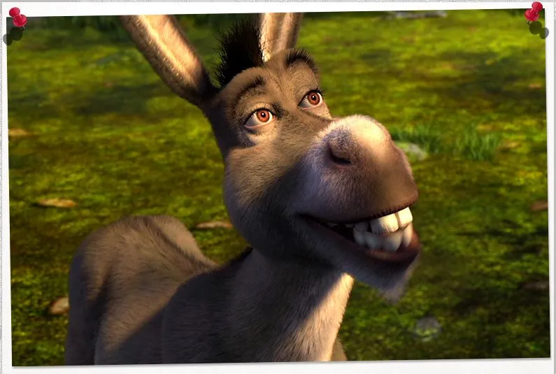 Donkey.webp