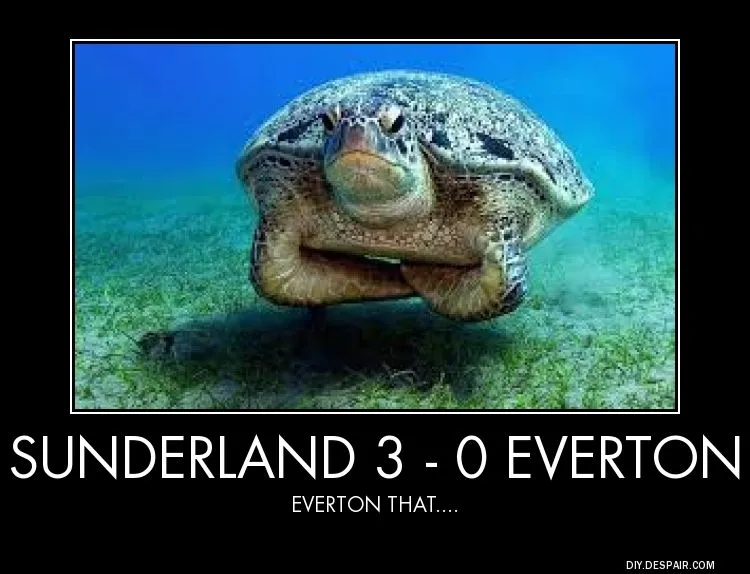 Everton that.webp