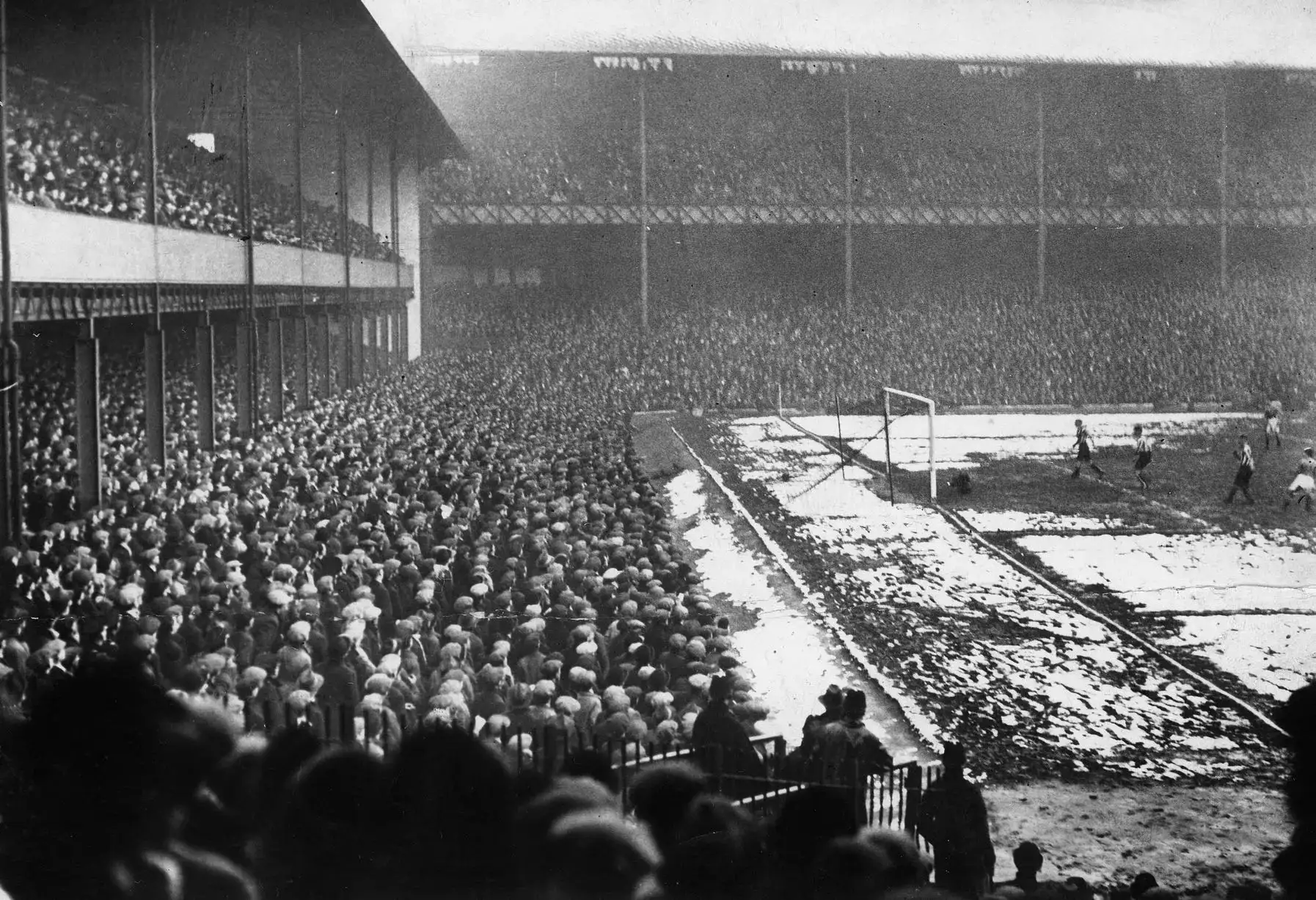 goodison 1931.webp