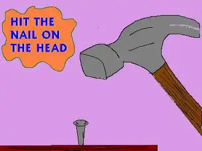 hit_nail_on_head.webp