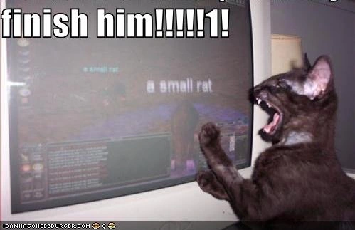 image.webp