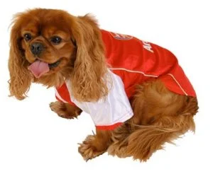 image.webp
