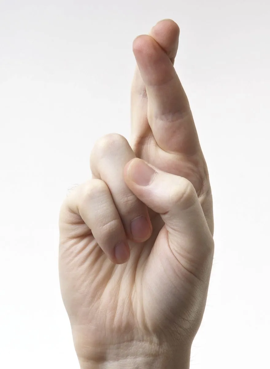 image.webp
