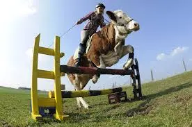 images-1 (1).webp