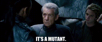 IMG_3044.gif
