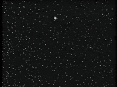 IMG_8810.gif