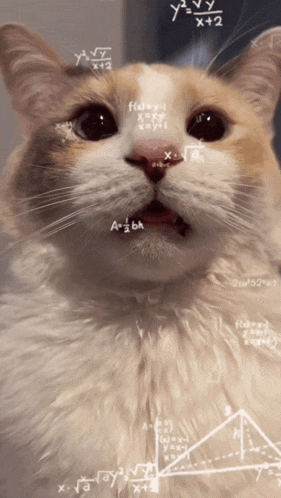 IMG_8988.gif