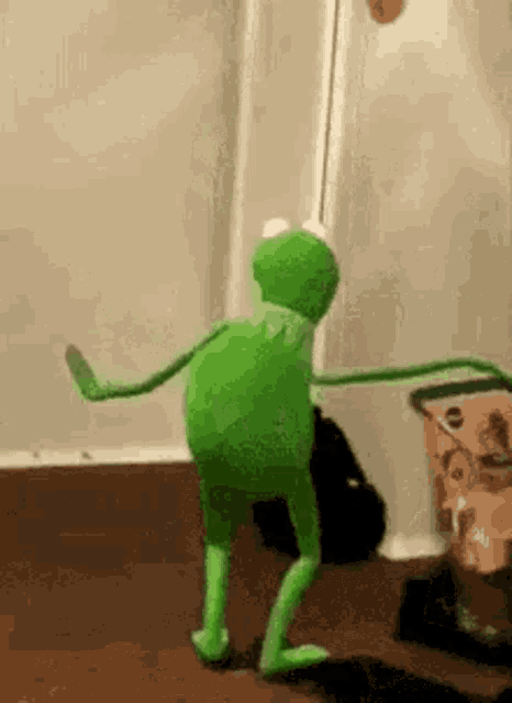 IMG_9169.gif