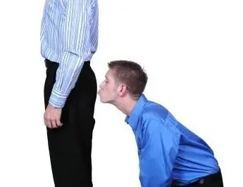 81031