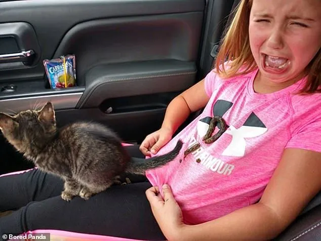 kittenshit on me..webp