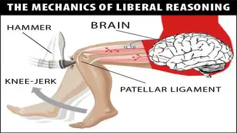 kneejerk-liberal-reasoning.webp