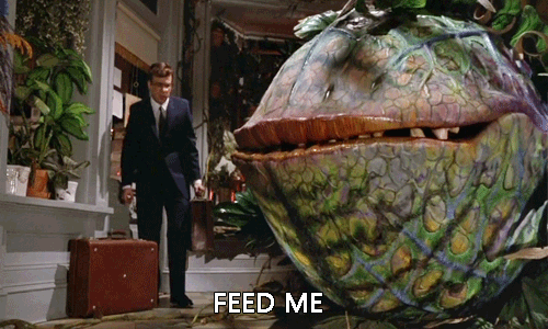 movie-gif.gif