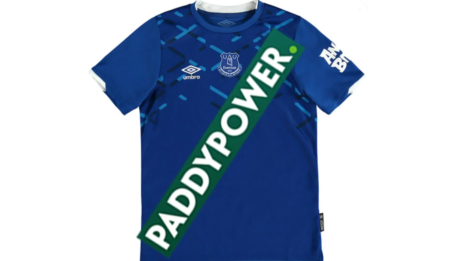 paddy.webp