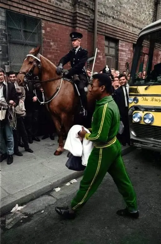 pele.webp