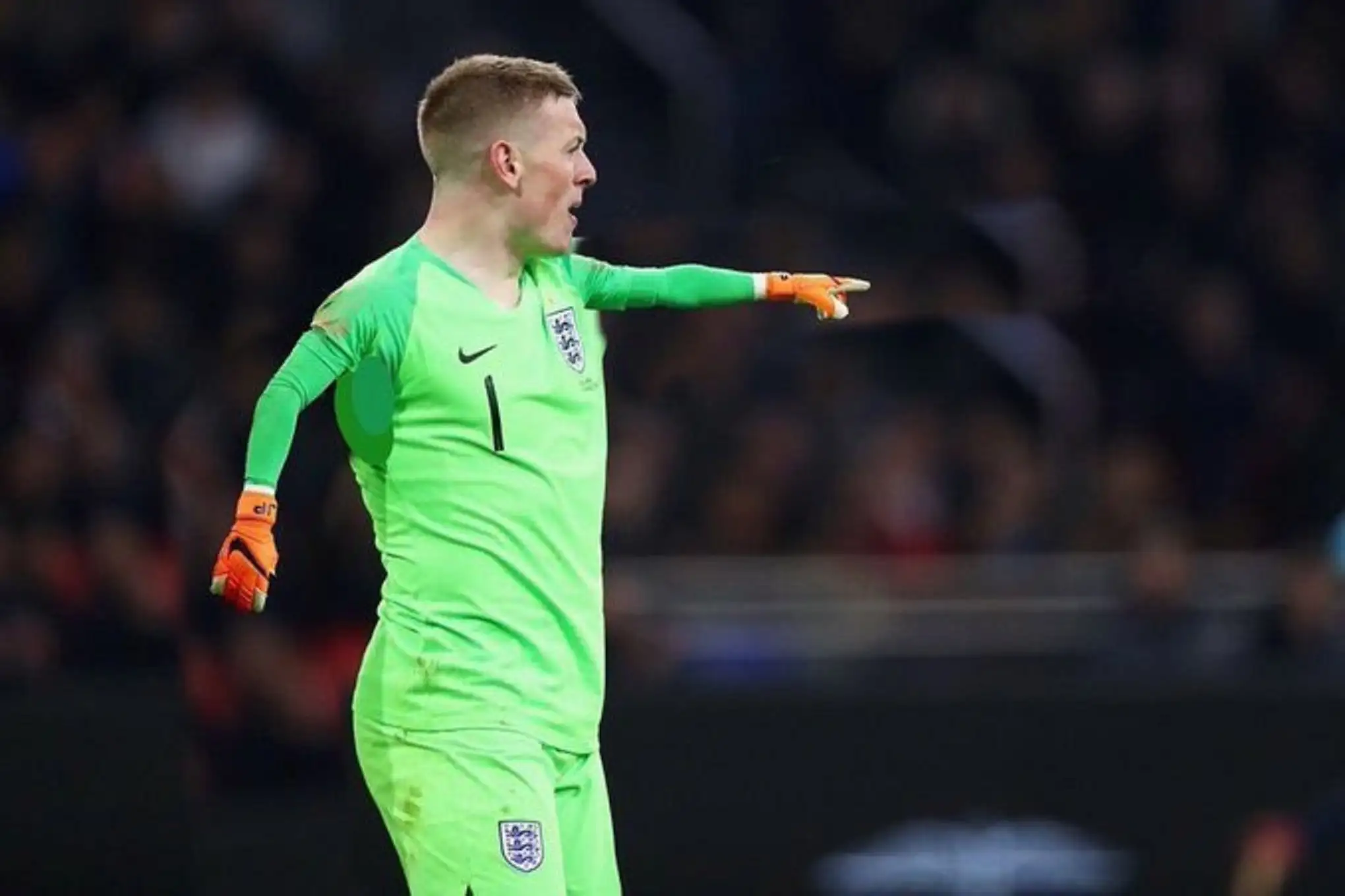 Pickford - T-Rex Arms.webp