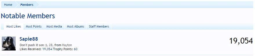 Saplikes.webp
