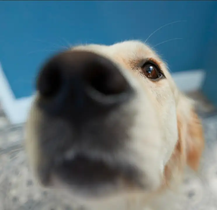 Screenshot_20260104_153608_Chrome.webp