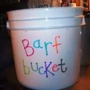 sick-bucket.webp