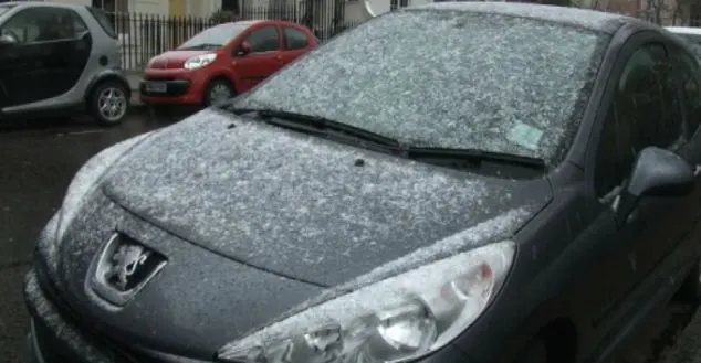 snow.webp