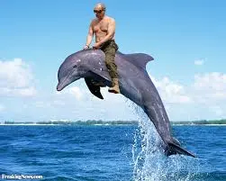 upload_2017-3-11_19-59-12.webp