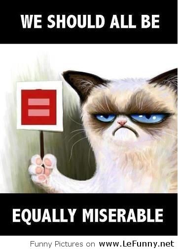 We-should-all-be-equally-miserable-says-Grumpy-Cat.jpg
