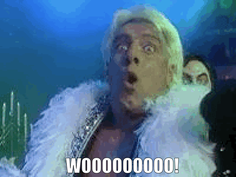 WWF - Ric Flair - Wooooooo 01.gif