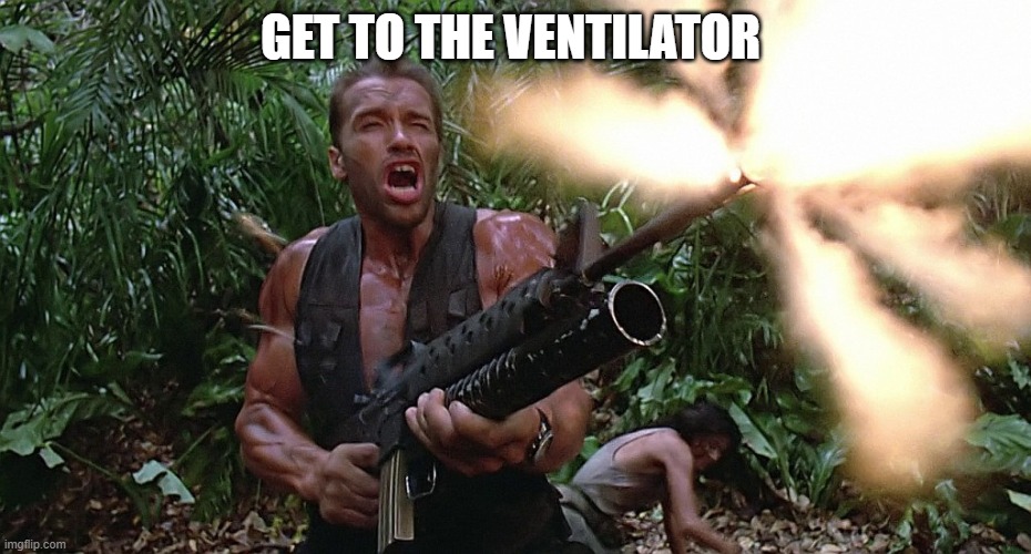 3vz8he.jpg