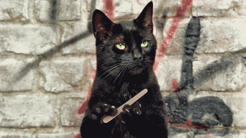 5aa36b44955e12dc41c105d303fae3c7.gif