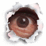 thPEEPHOLE.gif