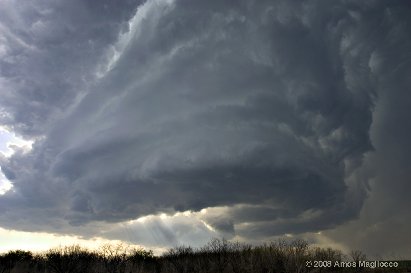 CRW_1564.jpg