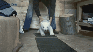 tumblr_mf73yq2RSJ1rtgpwlo1_400.gif