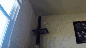 tumblr_mzxe7e5Pnt1rq7z94o1_400.gif
