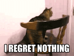 cat.gif