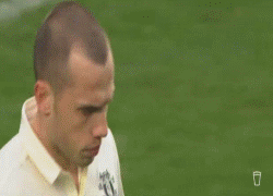 heitinga_cole_display.gif